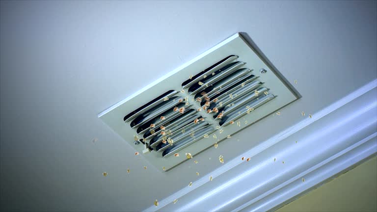 Best Emergency Air Duct Cleaning  in New Boston, OH